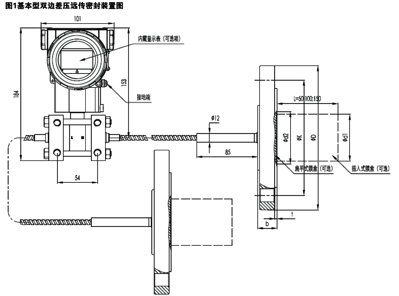 双法兰差压变送器结构示意图 双法兰差压变送器结构示意图