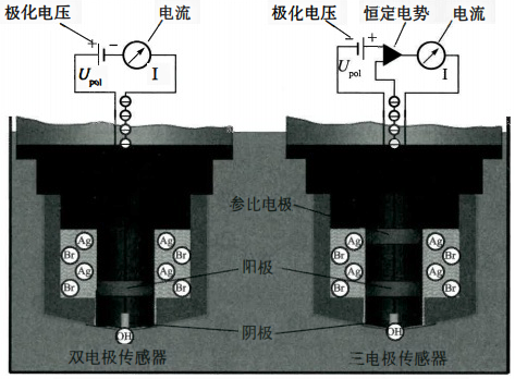 安培法溶解氧传感器系统测量原理 安培法溶解氧传感器系统测量原理