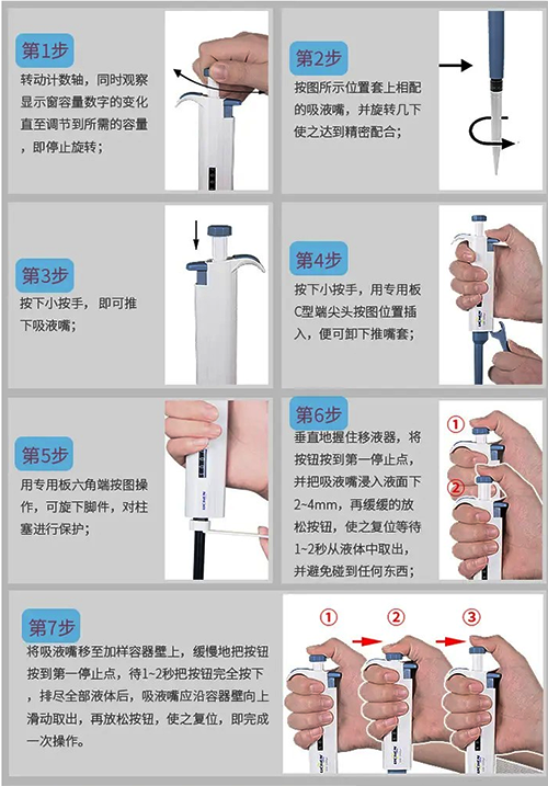 用移液枪转移液体 用移液枪转移液体