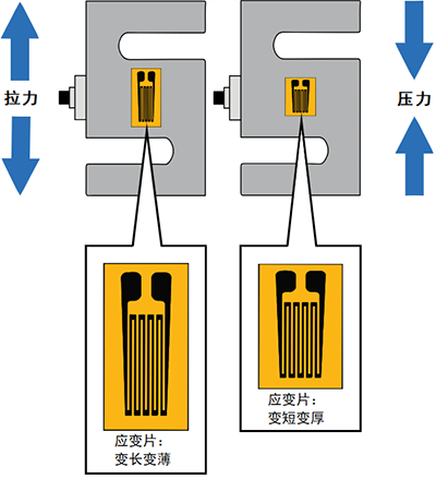 称重传感器内部结构 称重传感器内部结构