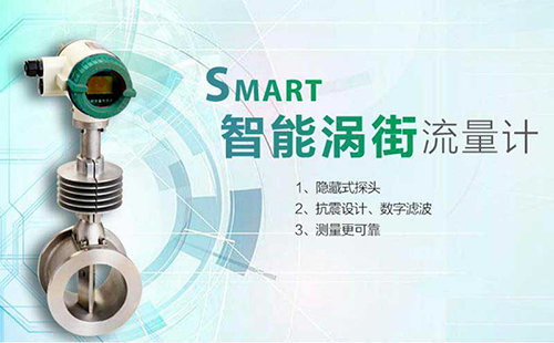 fkswng涡街流量计图片