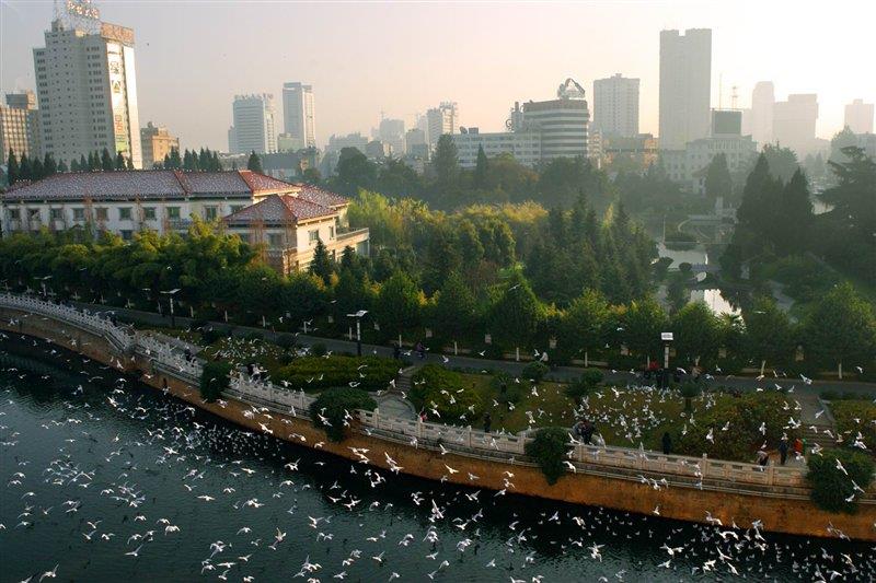 母亲河盘龙江 //www.fkswng.com/