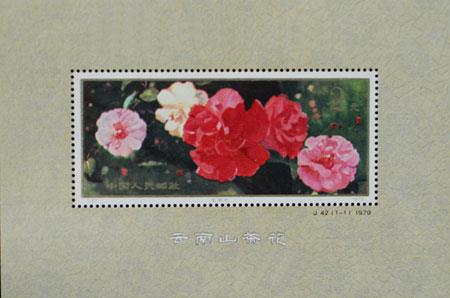 邮票中的云南山茶花 邮票中的云南山茶花