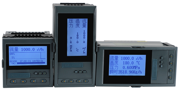 fkswng贸易结算流量积算仪