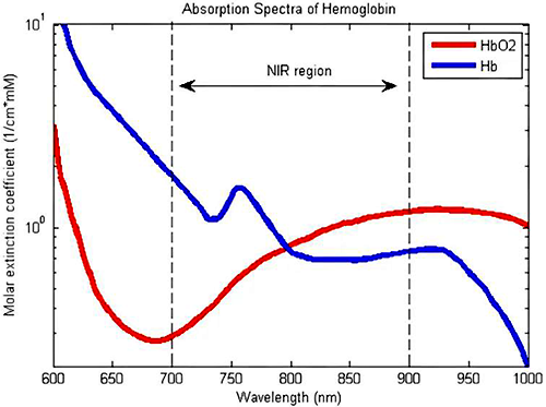 含氧血红蛋白和脱氧血红蛋白的吸收光谱 含氧血红蛋白和脱氧血红蛋白的吸收光谱