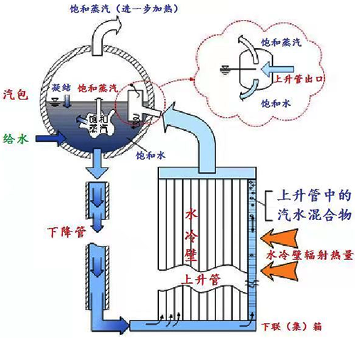 锅炉水系统结构示意图